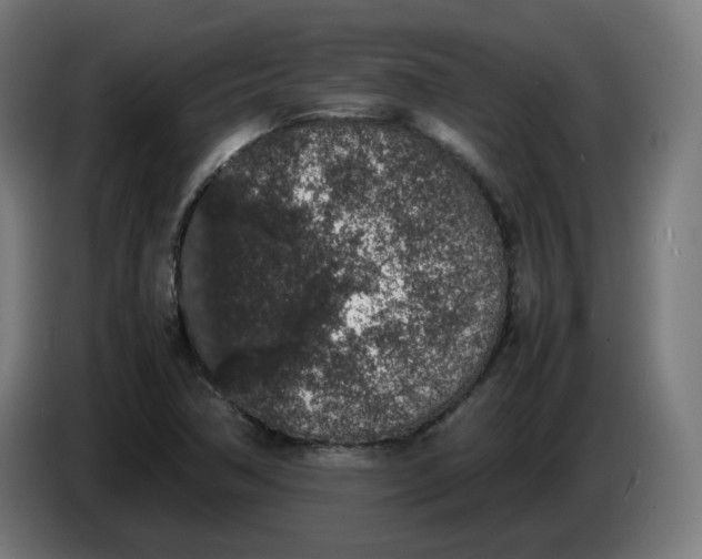 X0000086241362200704191812