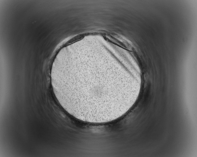 X0000086241363200704191812