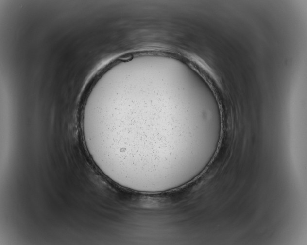 X0000086241364200704191812