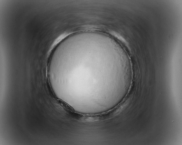 X0000086241365200704191812