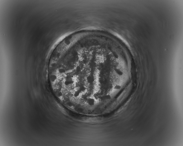 X0000086241367200704191812