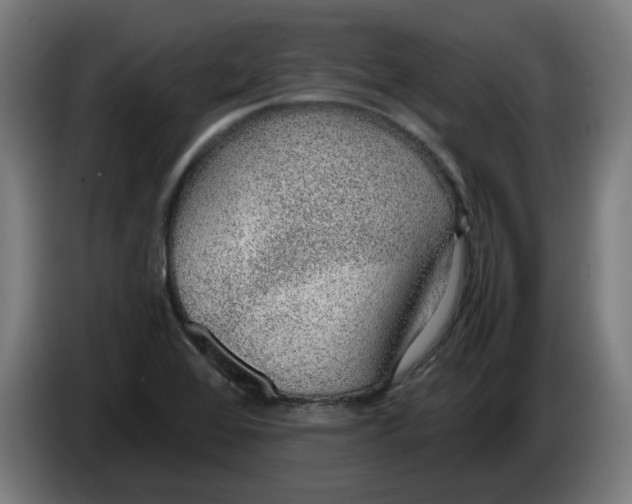 X0000086241368200704191812