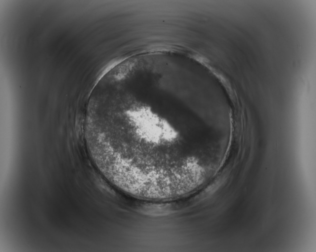X0000086241369200704191812