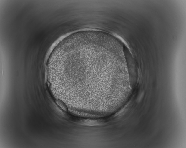 X0000086241371200704191812