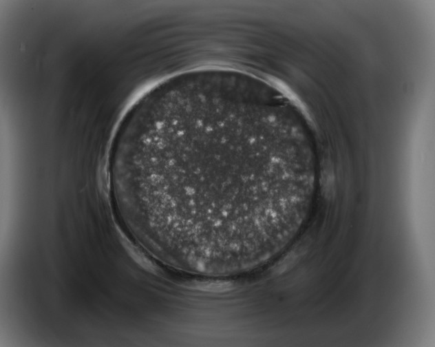 X0000086241372200704191812