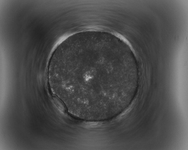 X0000086241373200704191812