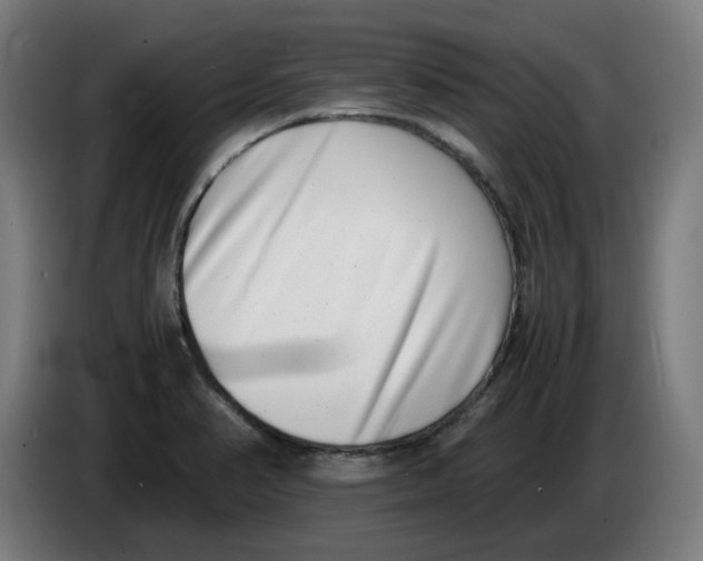 X0000086241374200704191812