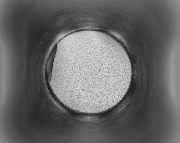 X0000086241375200704191812