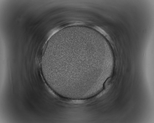 X0000086241377200704191812