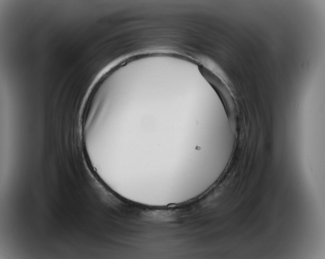 X0000086241380200704191812