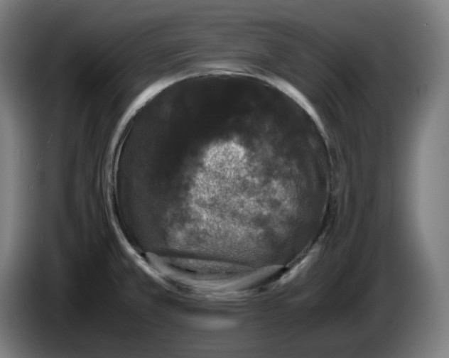 X0000086241381200704191812
