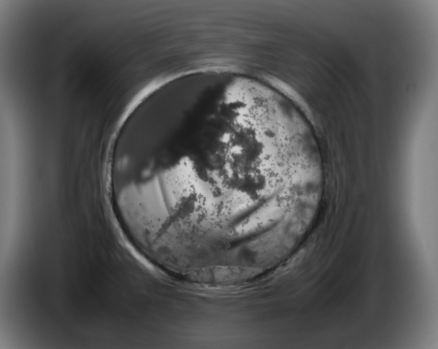 X0000086241383200704191812