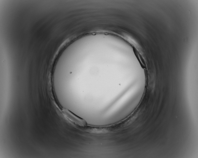 X0000086241384200704191812