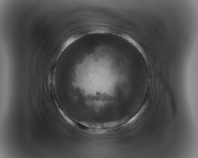 X0000086241385200704191812