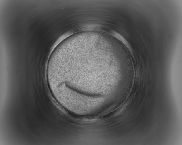 X0000086241386200704191812