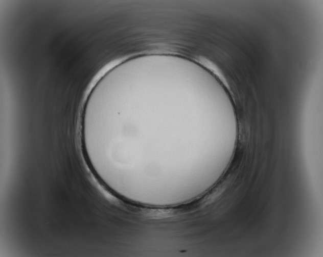 X0000086241387200704191812