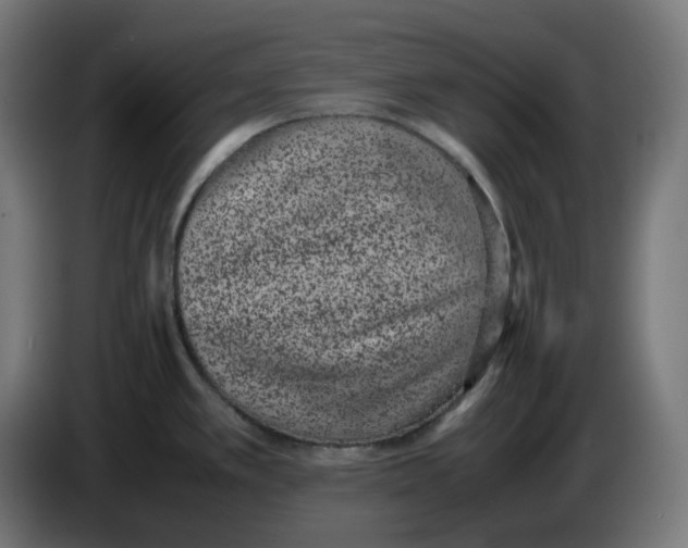 X0000086241389200704191812