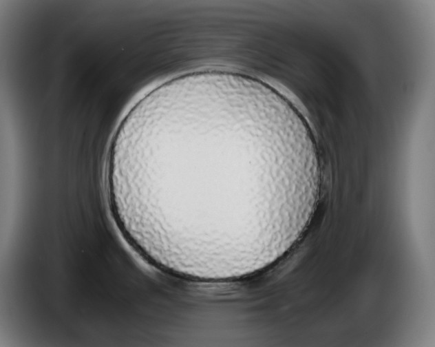 X0000086241391200704191812
