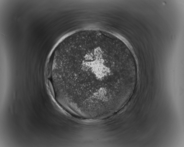 X0000086241392200704191812