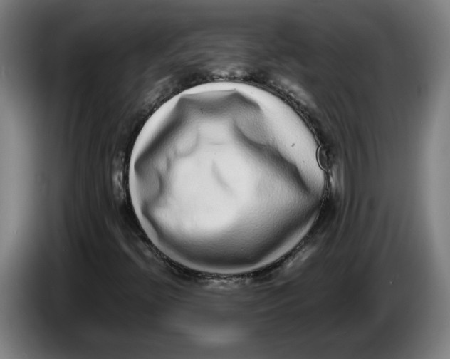 X0000086241396200704191811
