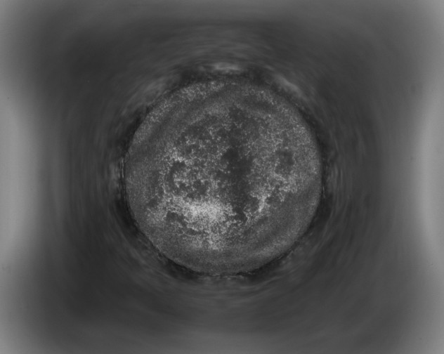 X0000086241397200704191811
