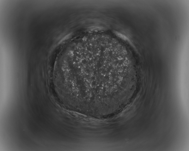 X0000086241399200704191811