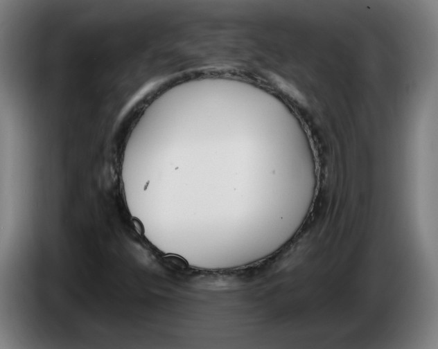 X0000086241400200704191811