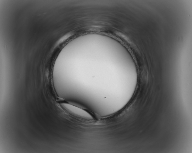 X0000086241402200704191811