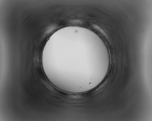 X0000086241403200704191811