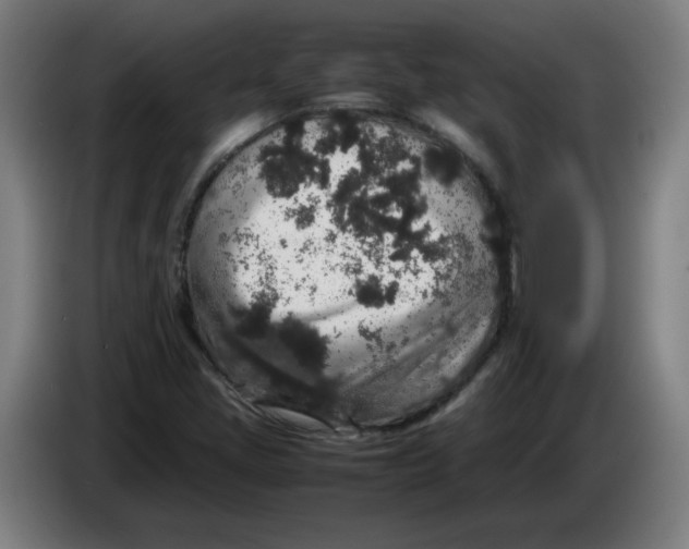 X0000086241405200704191811