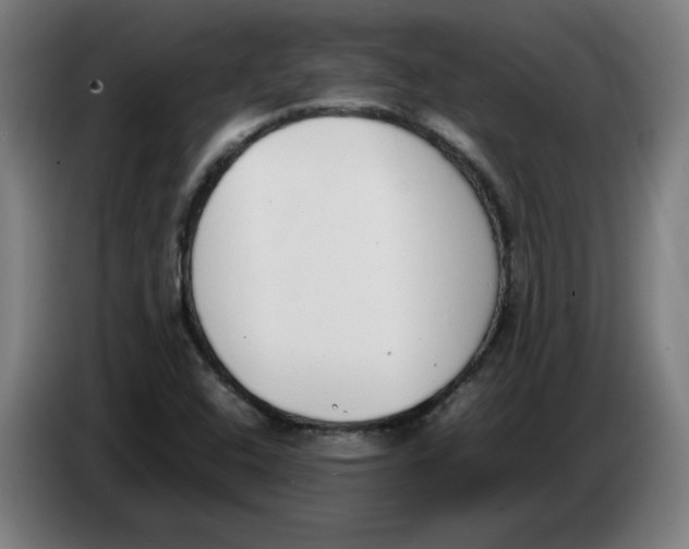 X0000086241408200704191811