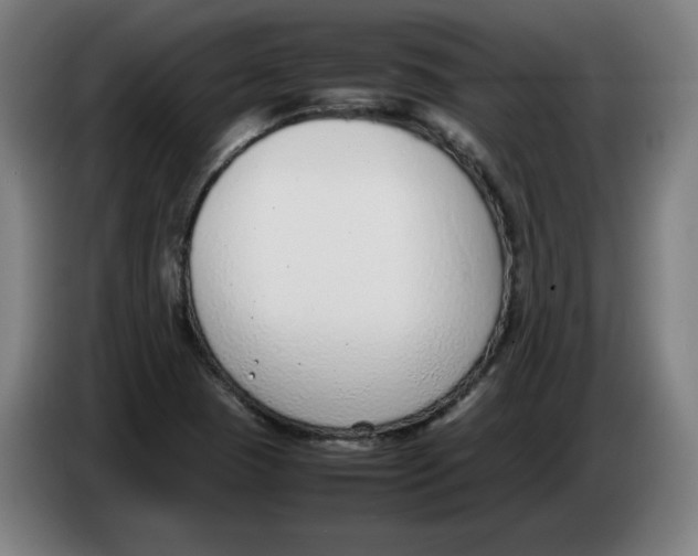 X0000086241409200704191811