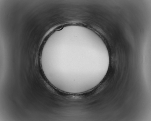 X0000086241412200704191811