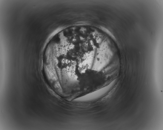 X0000086241413200704191811