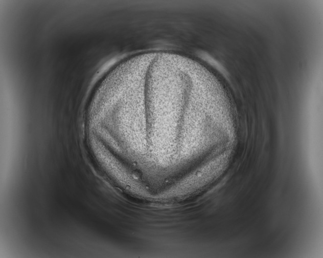 X0000086241415200704191811