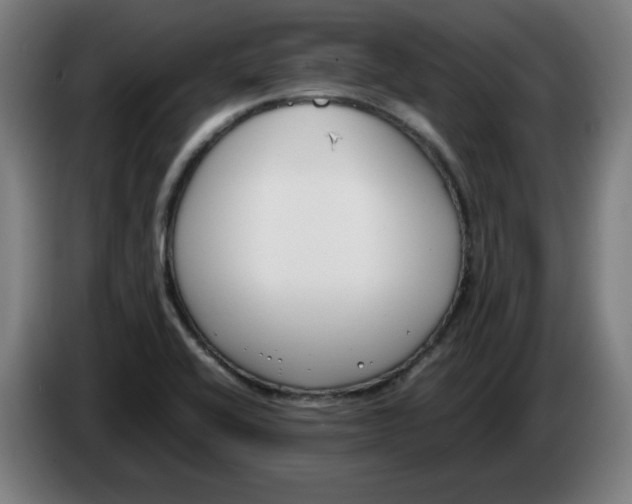 X0000086241416200704191811