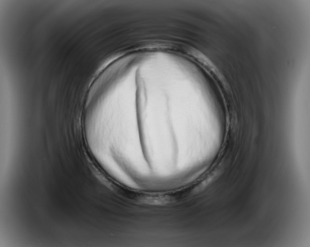 X0000086241417200704191811