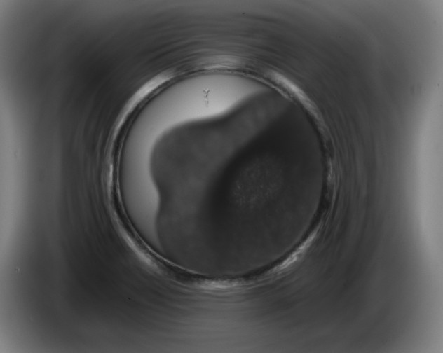 X0000086241418200704191811