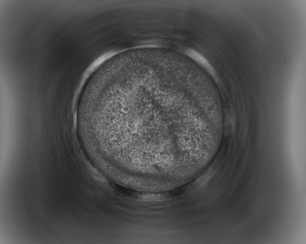 X0000086241419200704191811