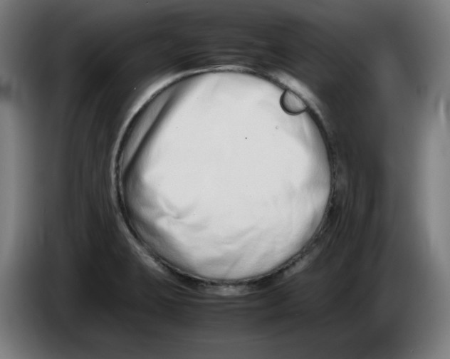 X0000086241423200704191811