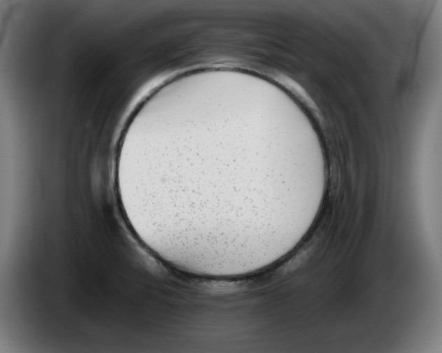 X0000086241424200704191811