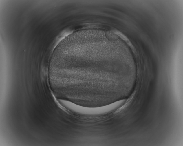 X0000086241425200704191811