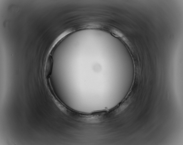 X0000086241426200704191811