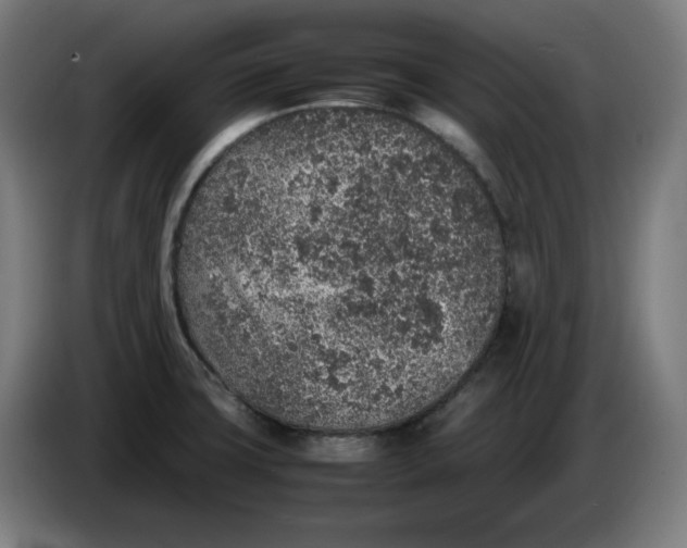 X0000086241427200704191811