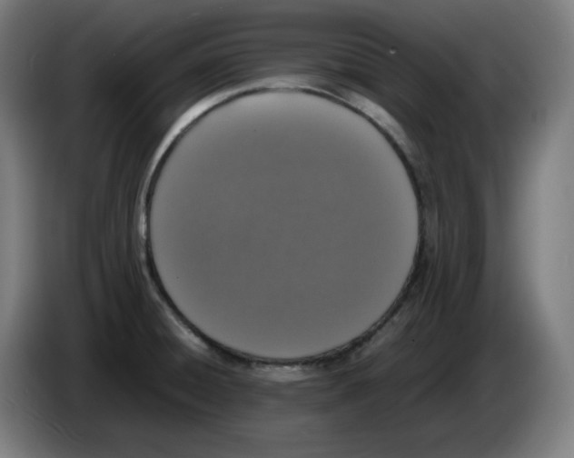 X0000086241428200704191811