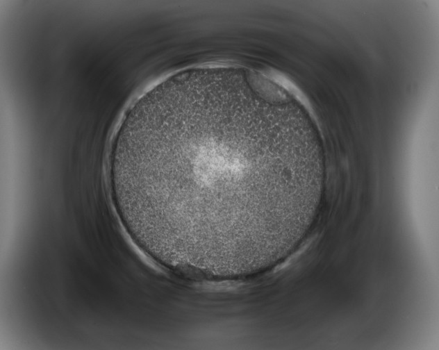 X0000086241429200704191811