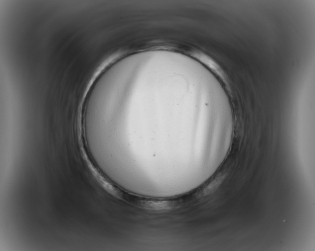 X0000086241431200704191811