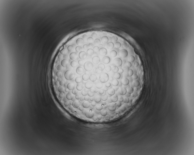 X0000086241432200704191811