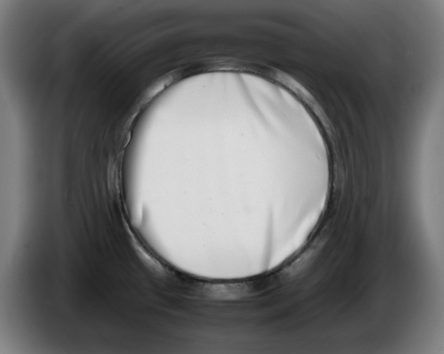 X0000086241433200704191811