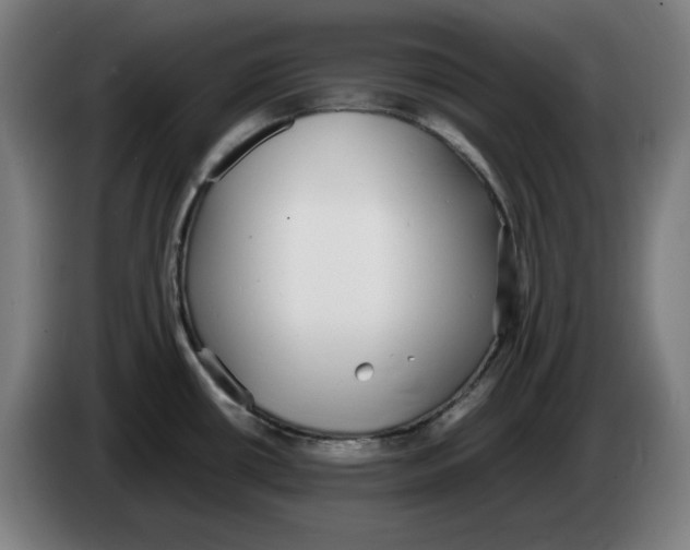 X0000086241434200704191811